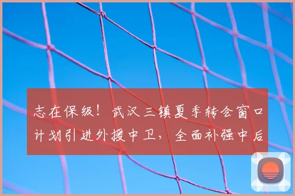 志在保级！武汉三镇夏季转会窗口计划引进外援中卫，全面补强中后场内援_防守_防线_中超