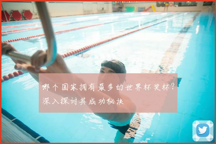 哪个国家拥有最多的世界杯奖杯？深入探讨其成功秘诀