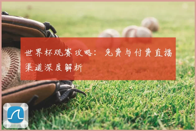 世界杯观赛攻略：免费与付费直播渠道深度解析