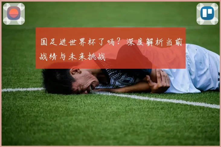 国足进世界杯了吗？深度解析当前战绩与未来挑战