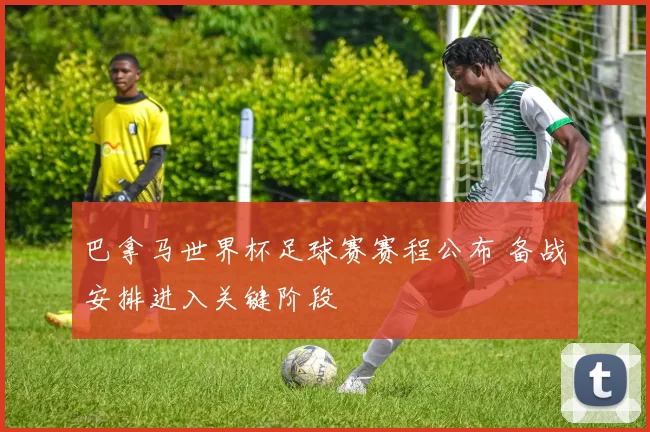 巴拿马世界杯足球赛赛程公布 备战安排进入关键阶段