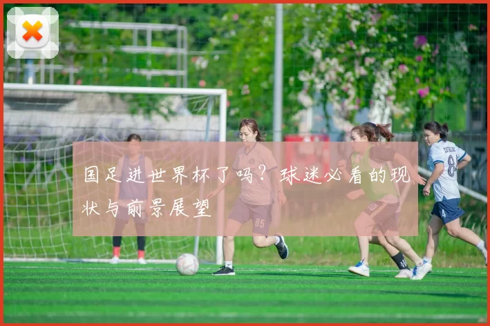 国足进世界杯了吗？球迷必看的现状与前景展望