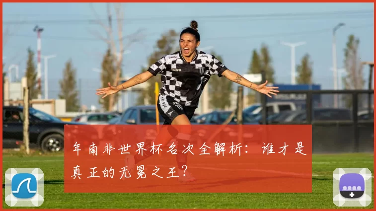 年南非世界杯名次全解析：谁才是真正的无冕之王？