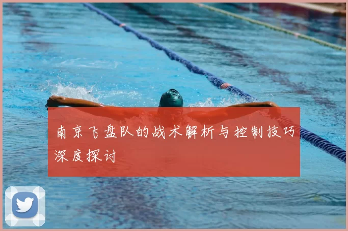 南京飞盘队的战术解析与控制技巧深度探讨