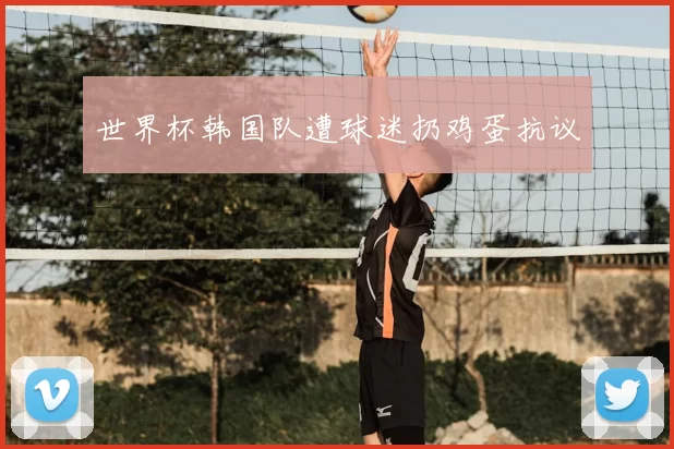 世界杯韩国队遭球迷扔鸡蛋抗议