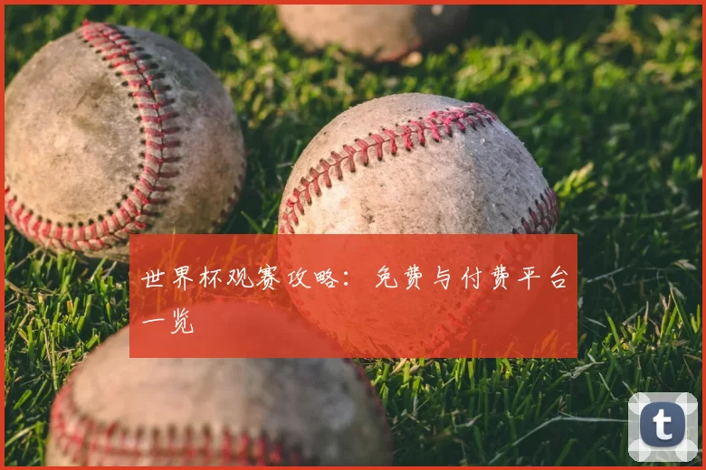 世界杯观赛攻略：免费与付费平台一览