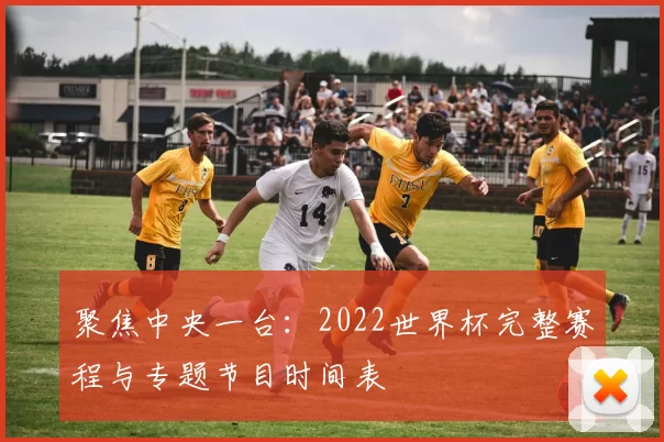 聚焦中央一台：2022世界杯完整赛程与专题节目时间表