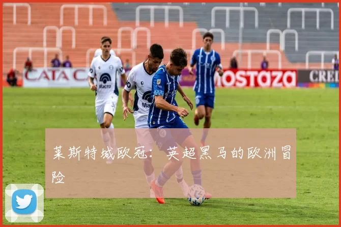 莱斯特城欧冠：英超黑马的欧洲冒险