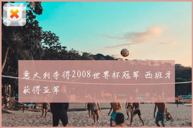 意大利夺得2008世界杯冠军 西班牙获得亚军