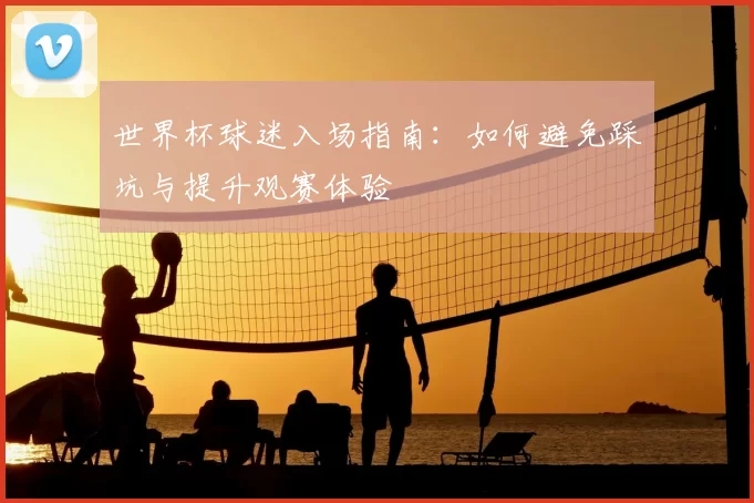 世界杯球迷入场指南:如何避免踩坑与提升观赛体验