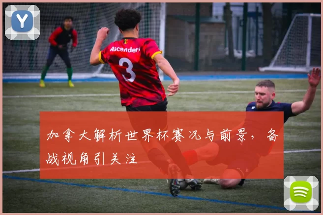 加拿大解析世界杯赛况与前景，备战视角引关注