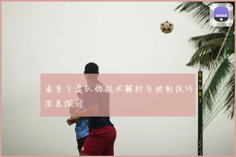南京飞盘队的战术解析与控制技巧深度探讨