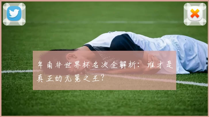 年南非世界杯名次全解析：谁才是真正的无冕之王？
