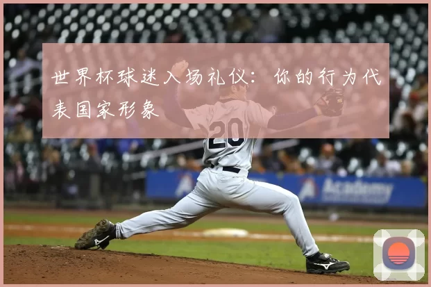 世界杯球迷入场礼仪：你的行为代表国家形象